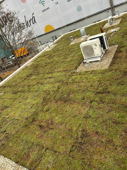 extenzívna strecha Bratislava 160 m2